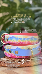 Summit Pride Collar