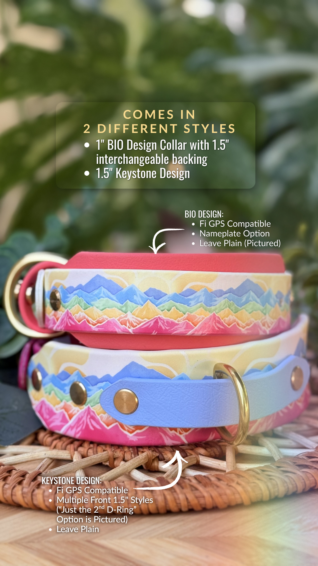 Summit Pride Collar