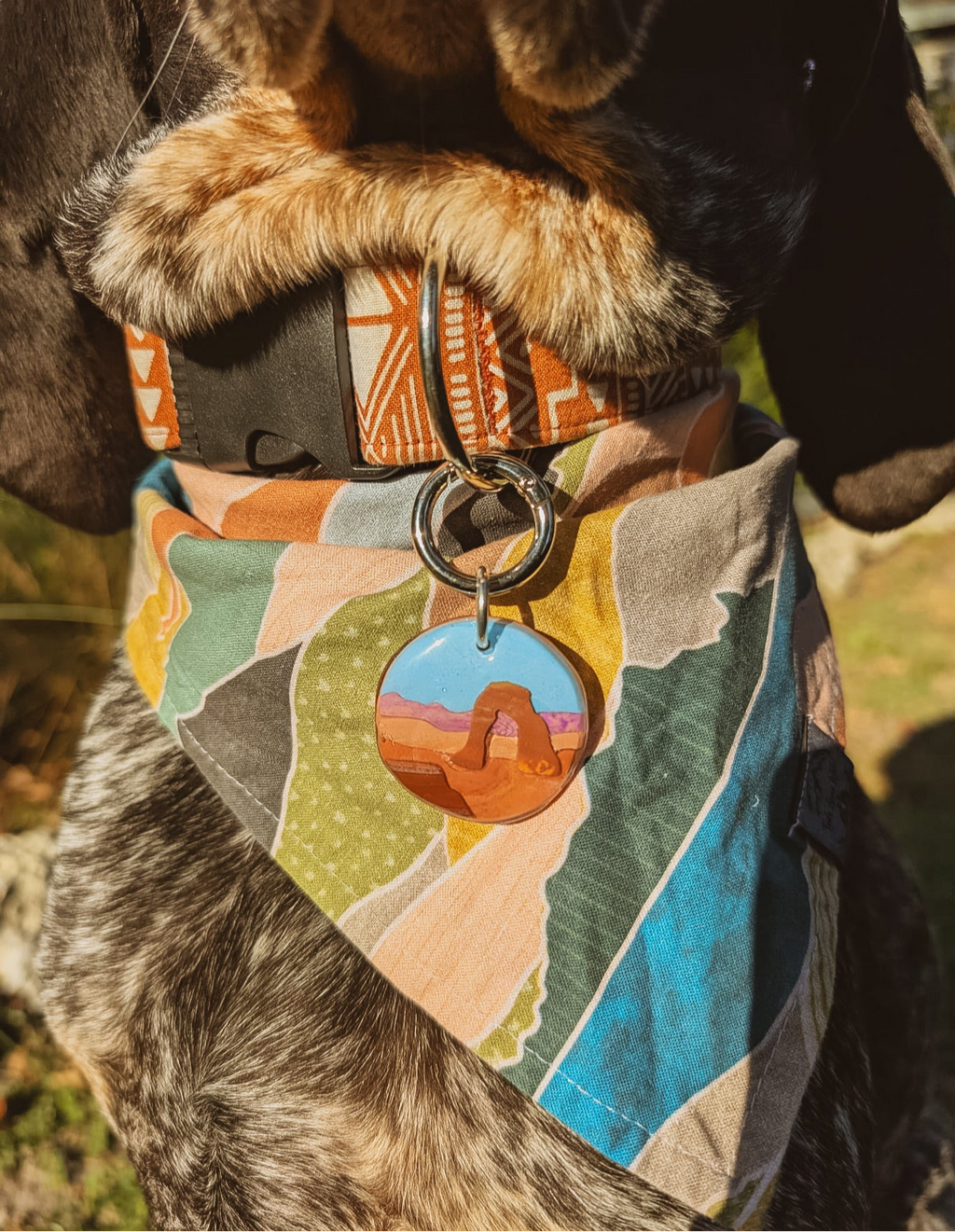 Arches National Park Tag