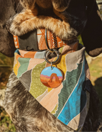 Arches National Park Tag