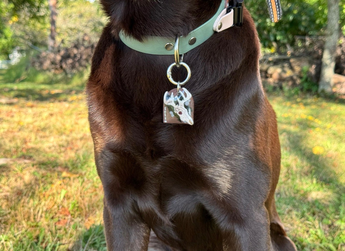 Antler & Earth Tag