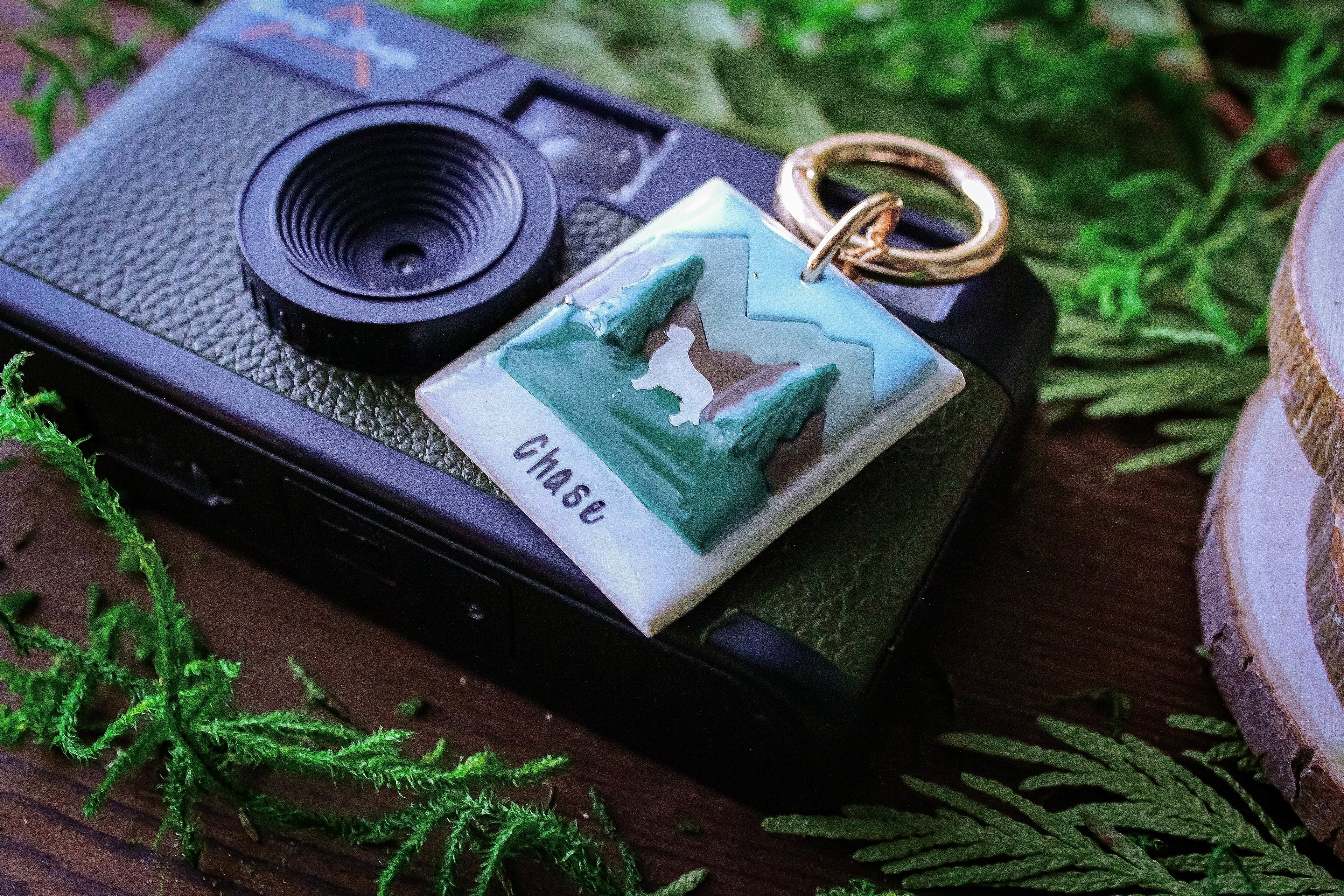 Picture Perfect Adventure