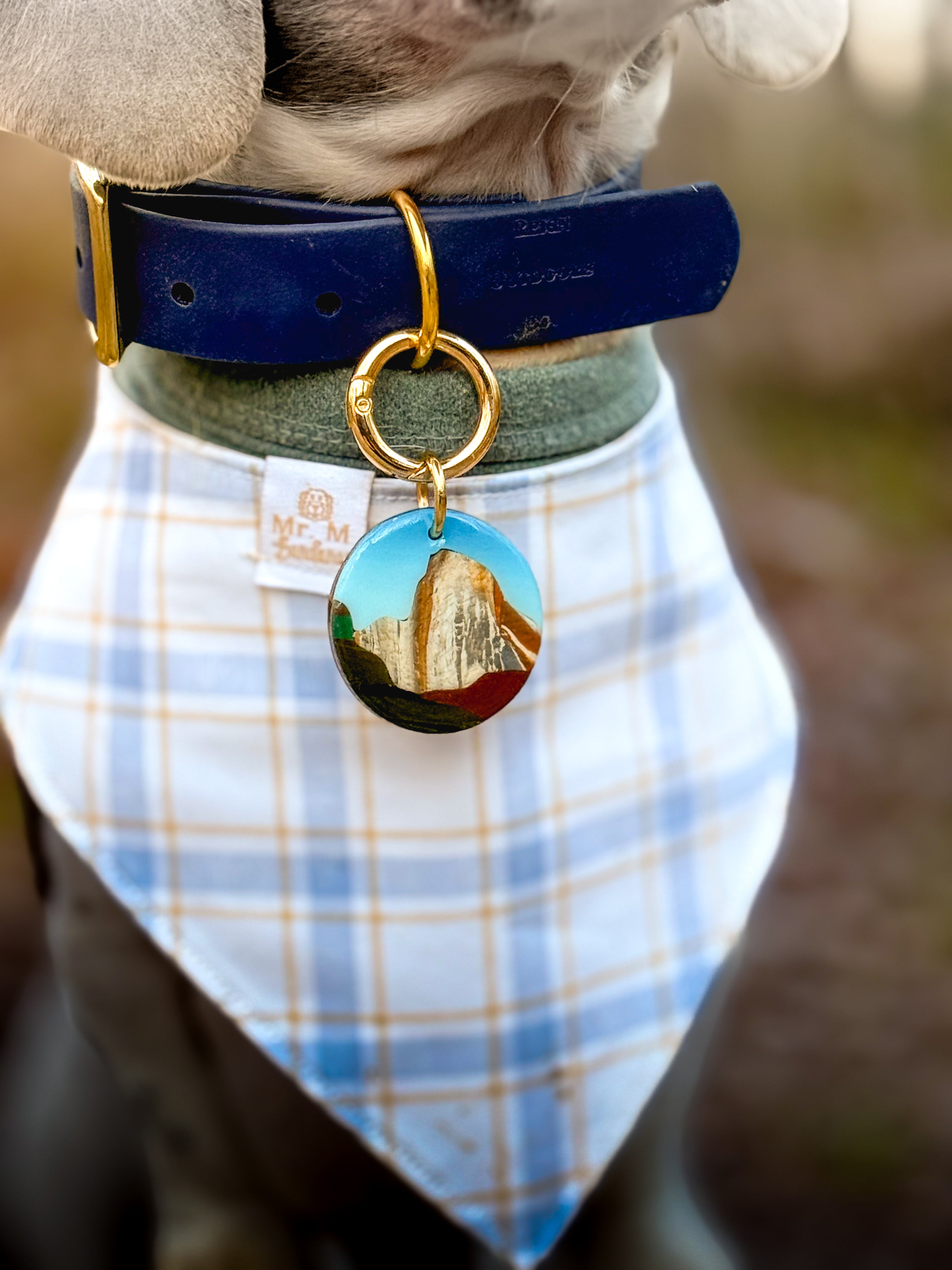 Yosemite National Park Tag