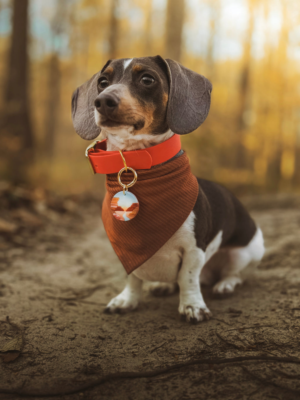 Grand Canyon National Park Tag