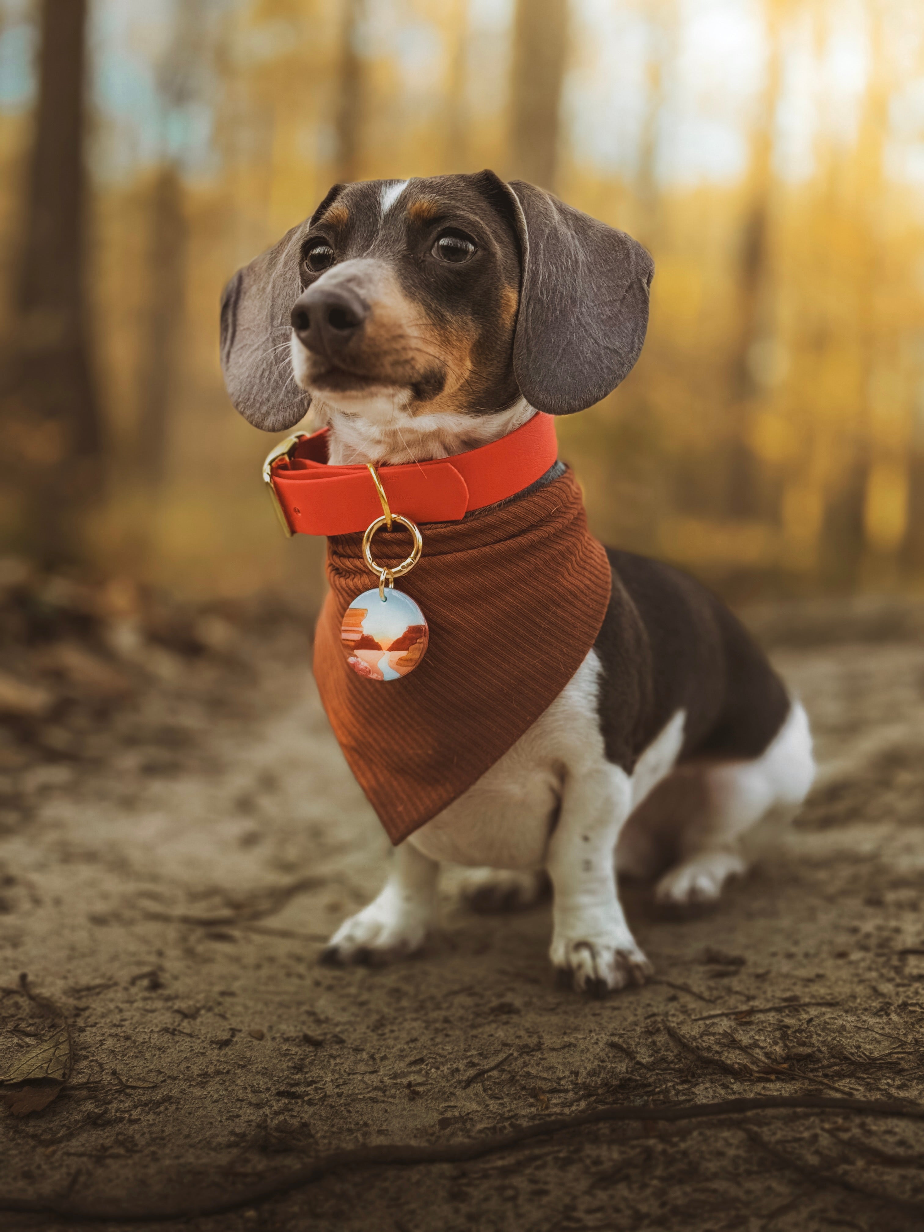 Grand Canyon National Park Tag