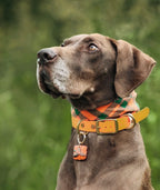 Pheasant & Flush Tag