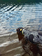 PFAF 1” Two-Toned BioThane Collar