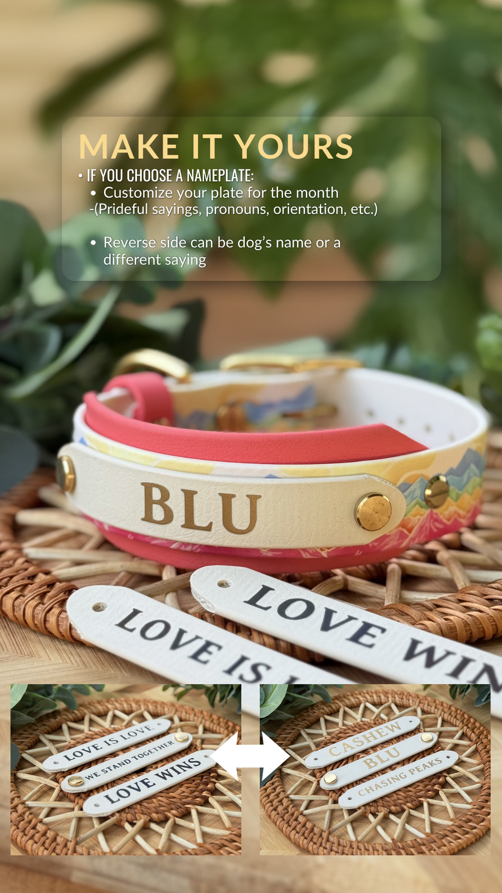 Summit Pride Collar
