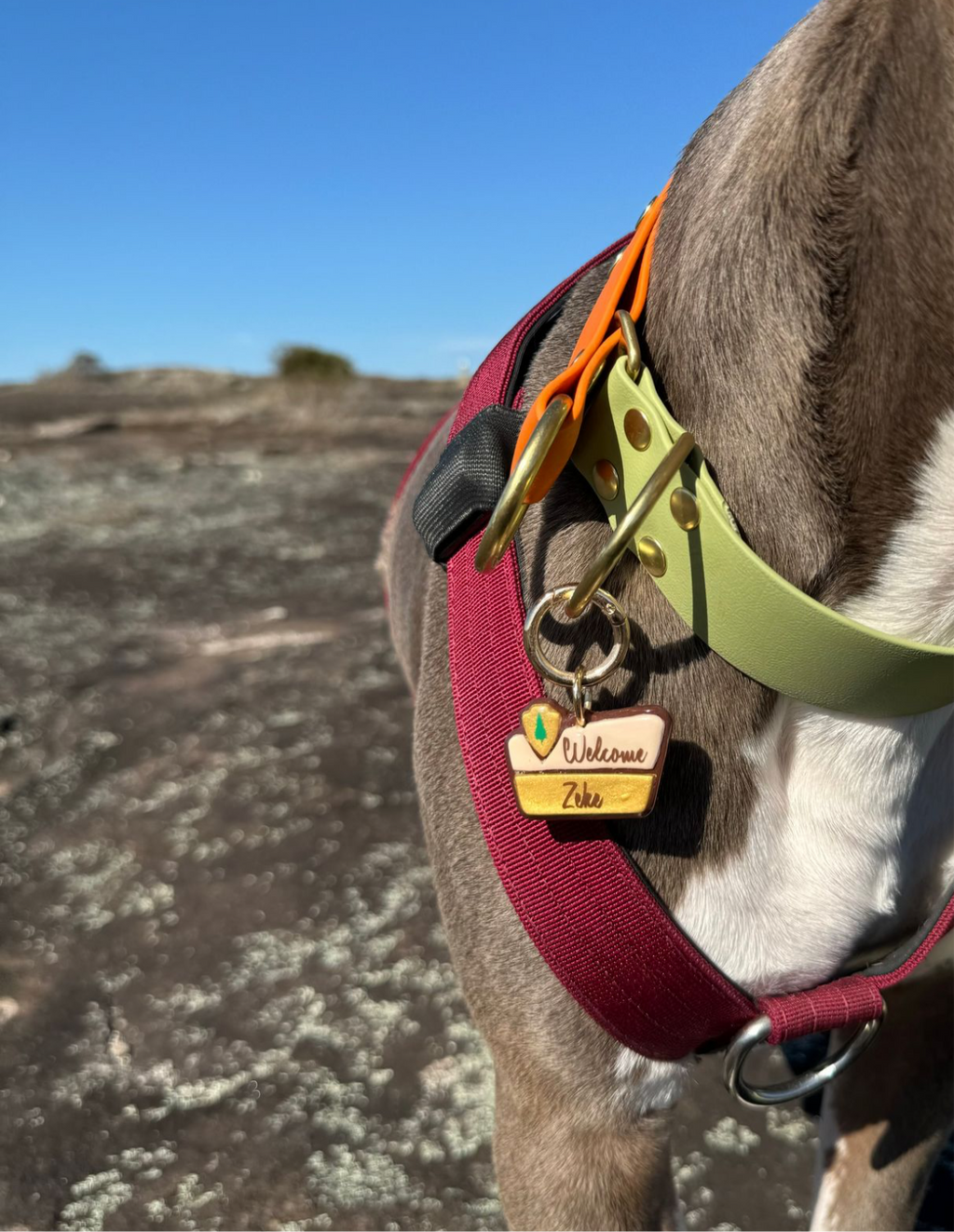 National Park Welcome Sign
