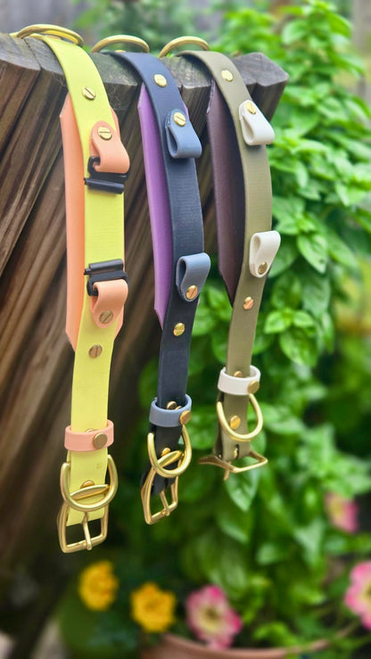 BIO "Buy It Once" Interchangeable Fi Series 3 BioThane Collar