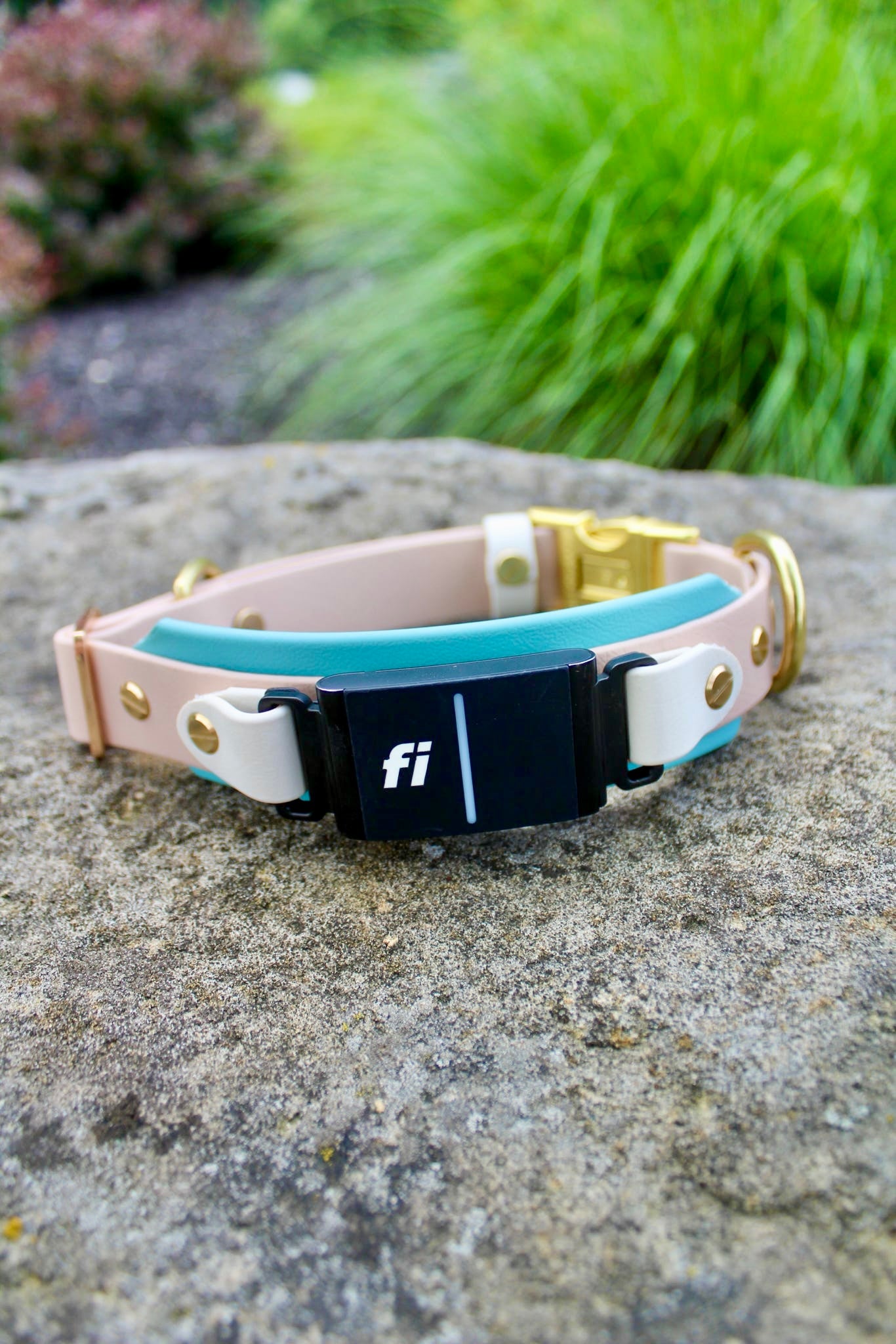 BIO "Buy It Once" Interchangeable Fi Series 3 BioThane Collar