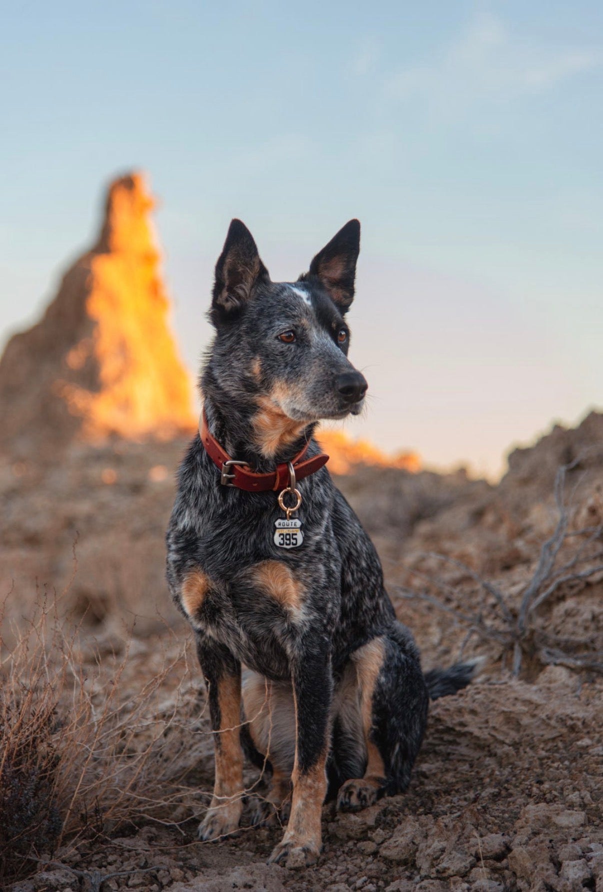 ROUTE SIGN