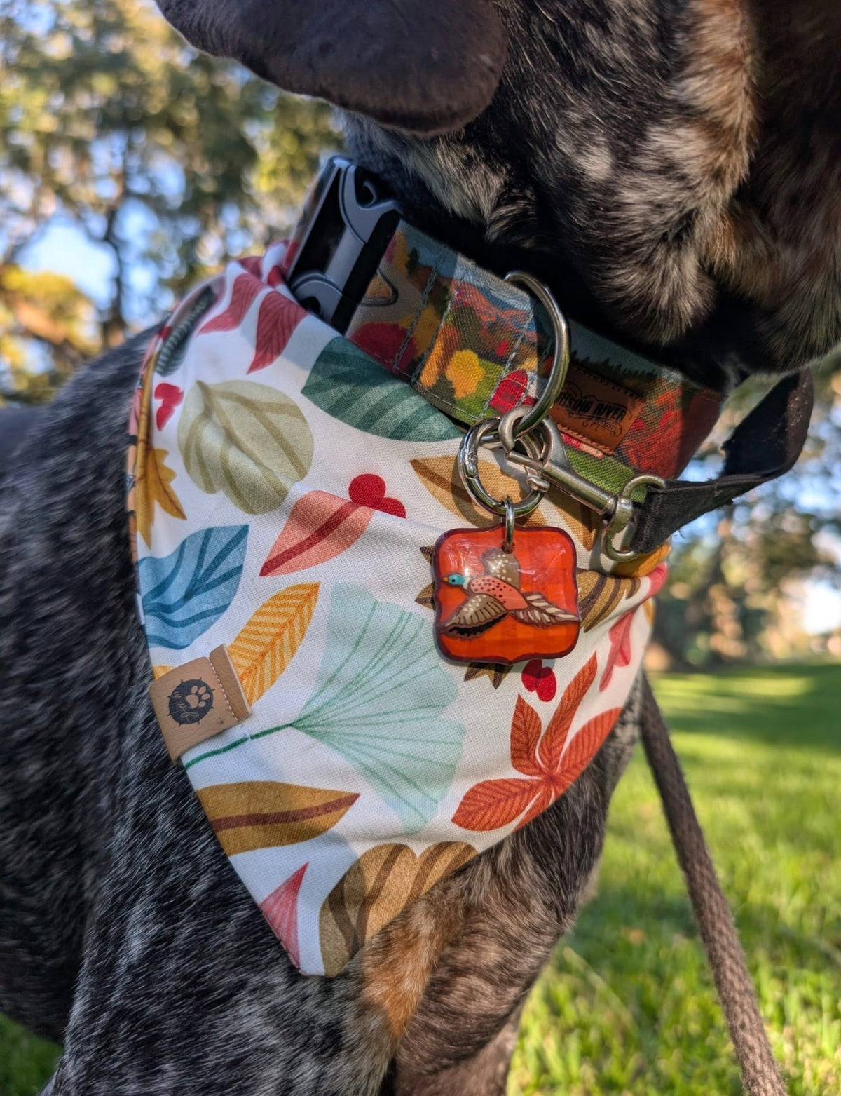 Pheasant & Flush Tag