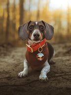 Grand Canyon National Park Tag