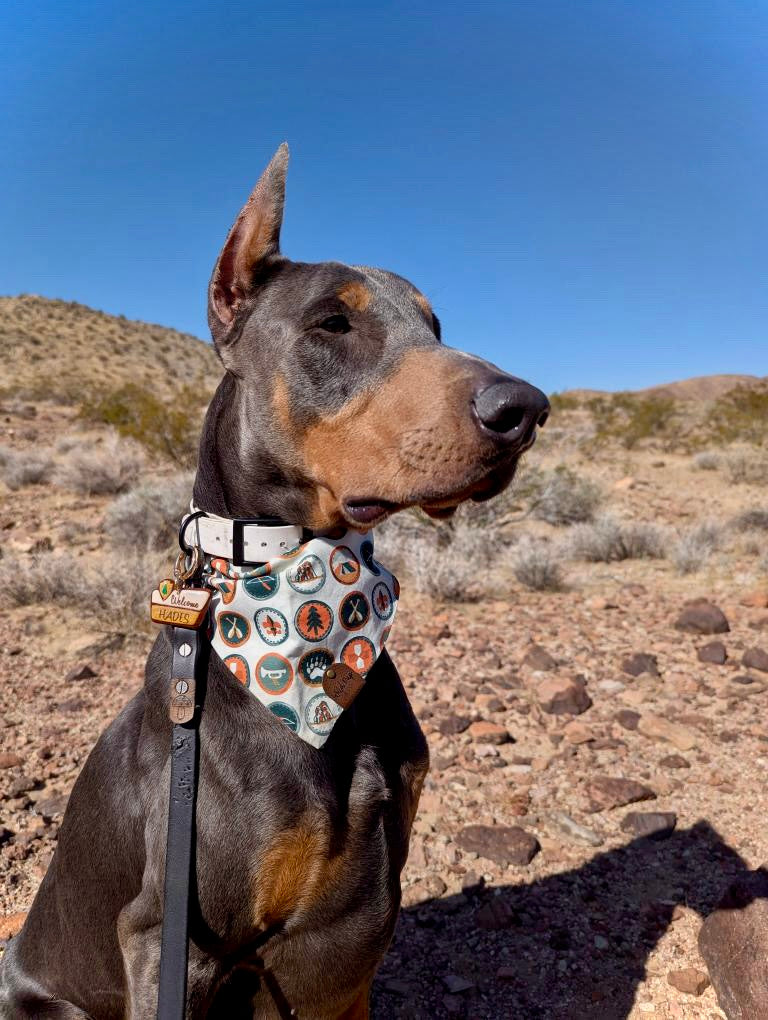 National Park Welcome Sign