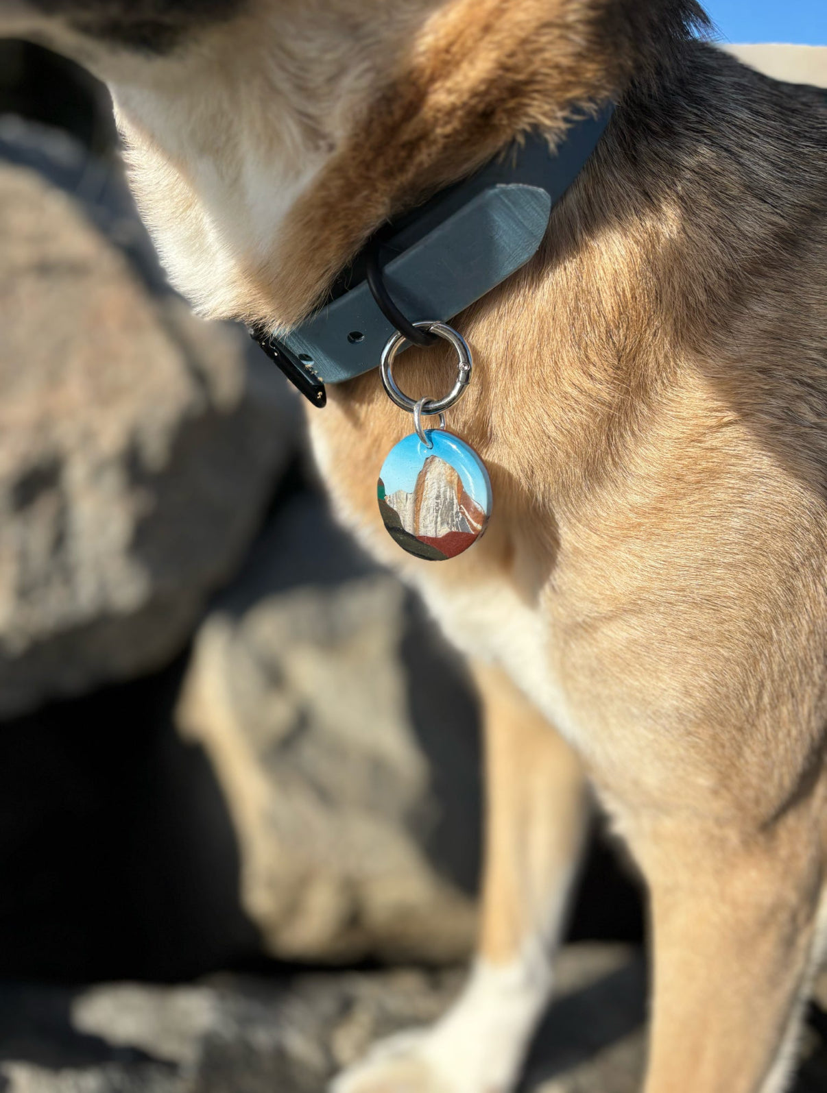 Yosemite National Park Tag