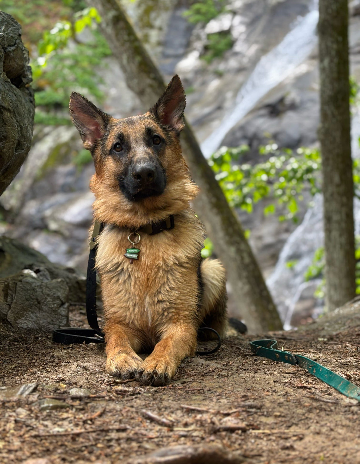 Trail Sign Adventure Arrows