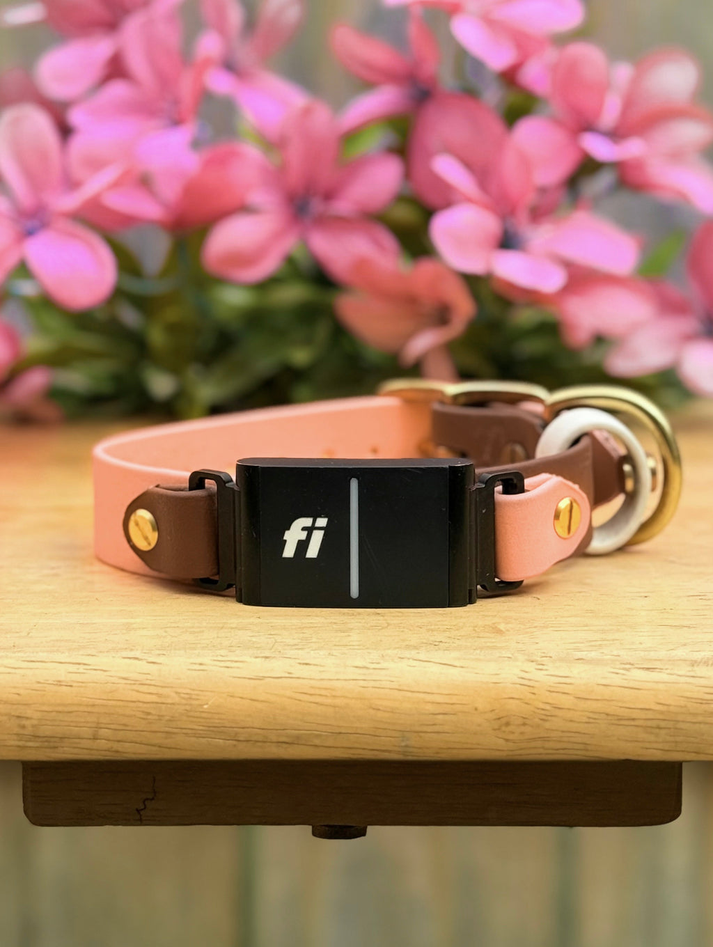 Spring Two-Toned Fi Series 3 BioThane Collar
