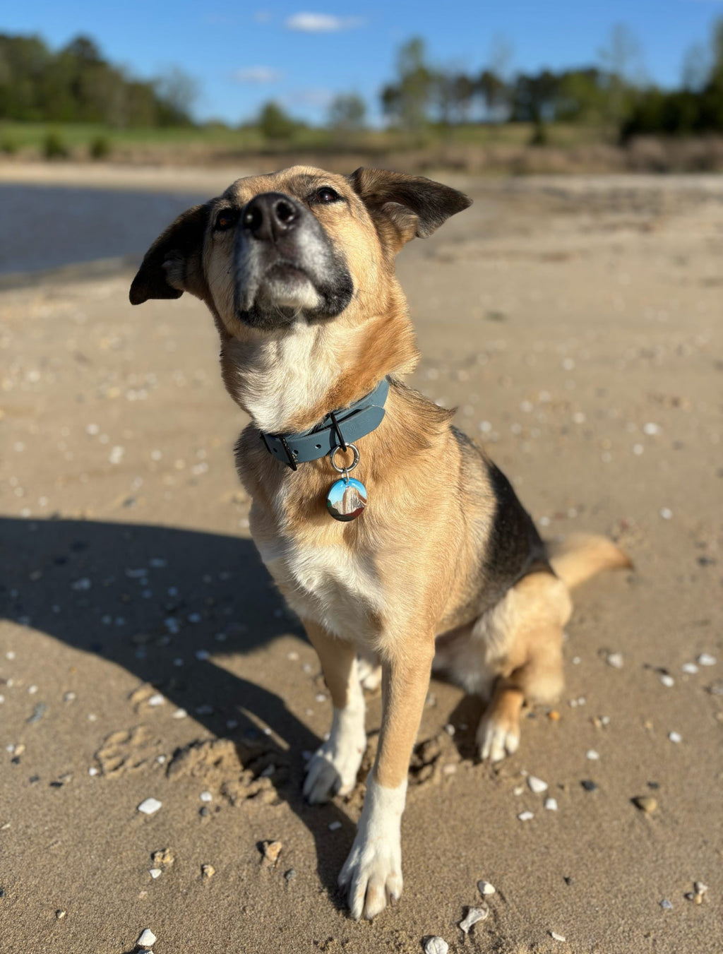 Yosemite National Park Tag