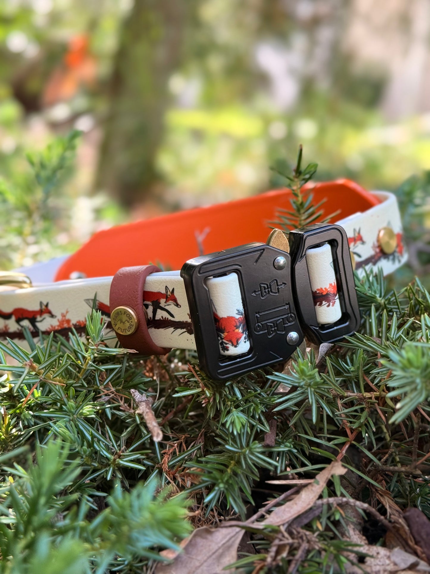 Foxfire Trail Biothane Collar
