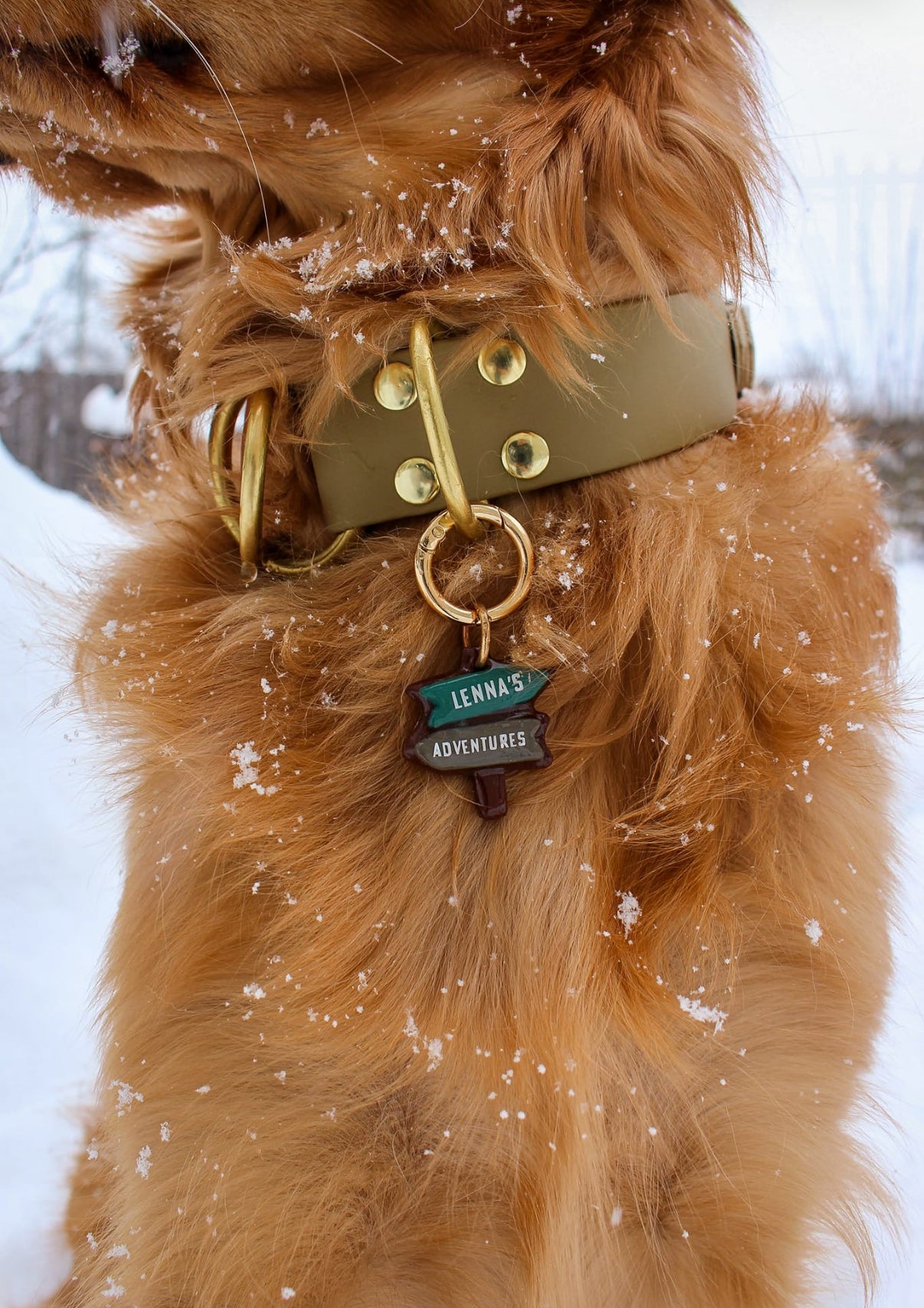 Trail Sign Adventure Arrows