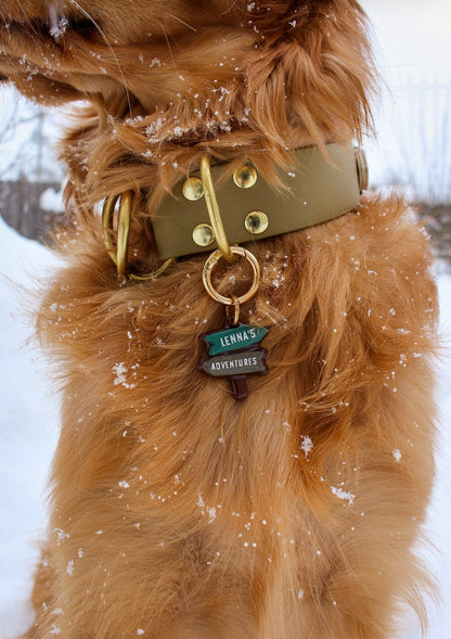 Trail Sign Adventure Arrows