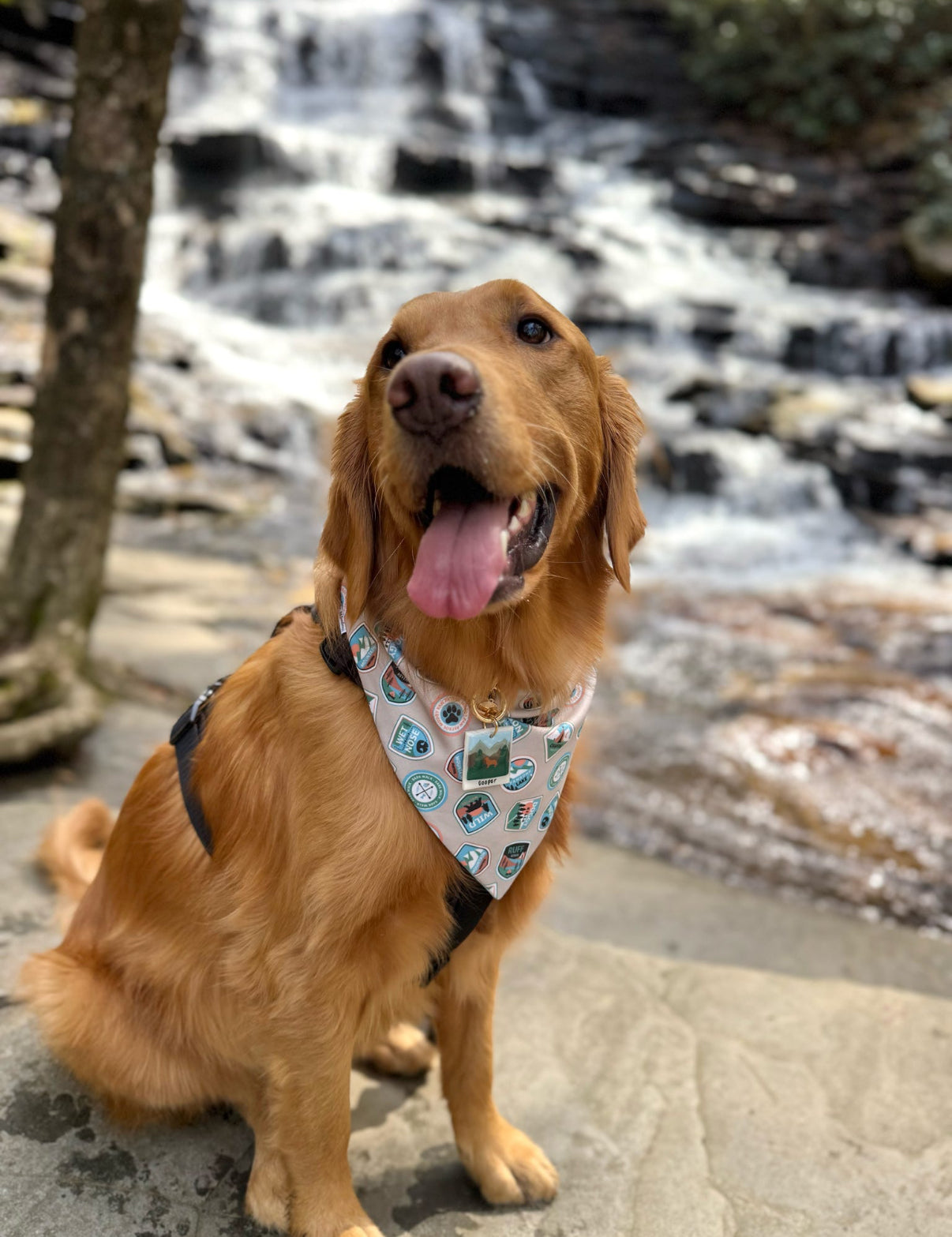 Picture Perfect Adventure