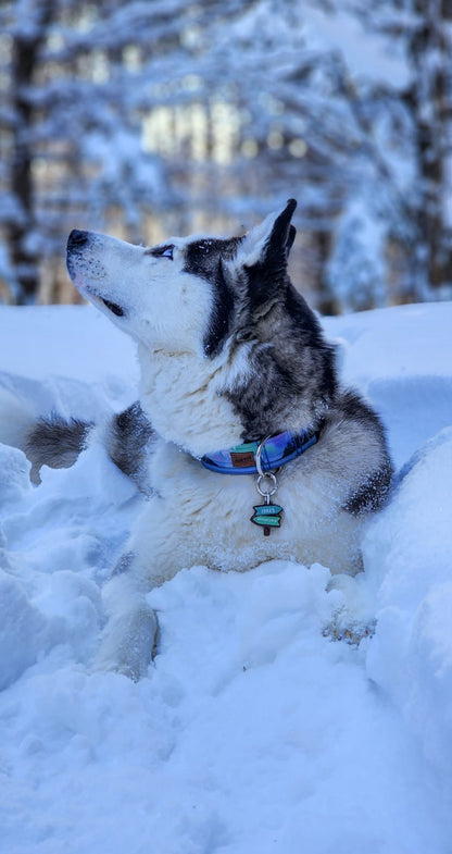 Trail Sign Adventure Arrows