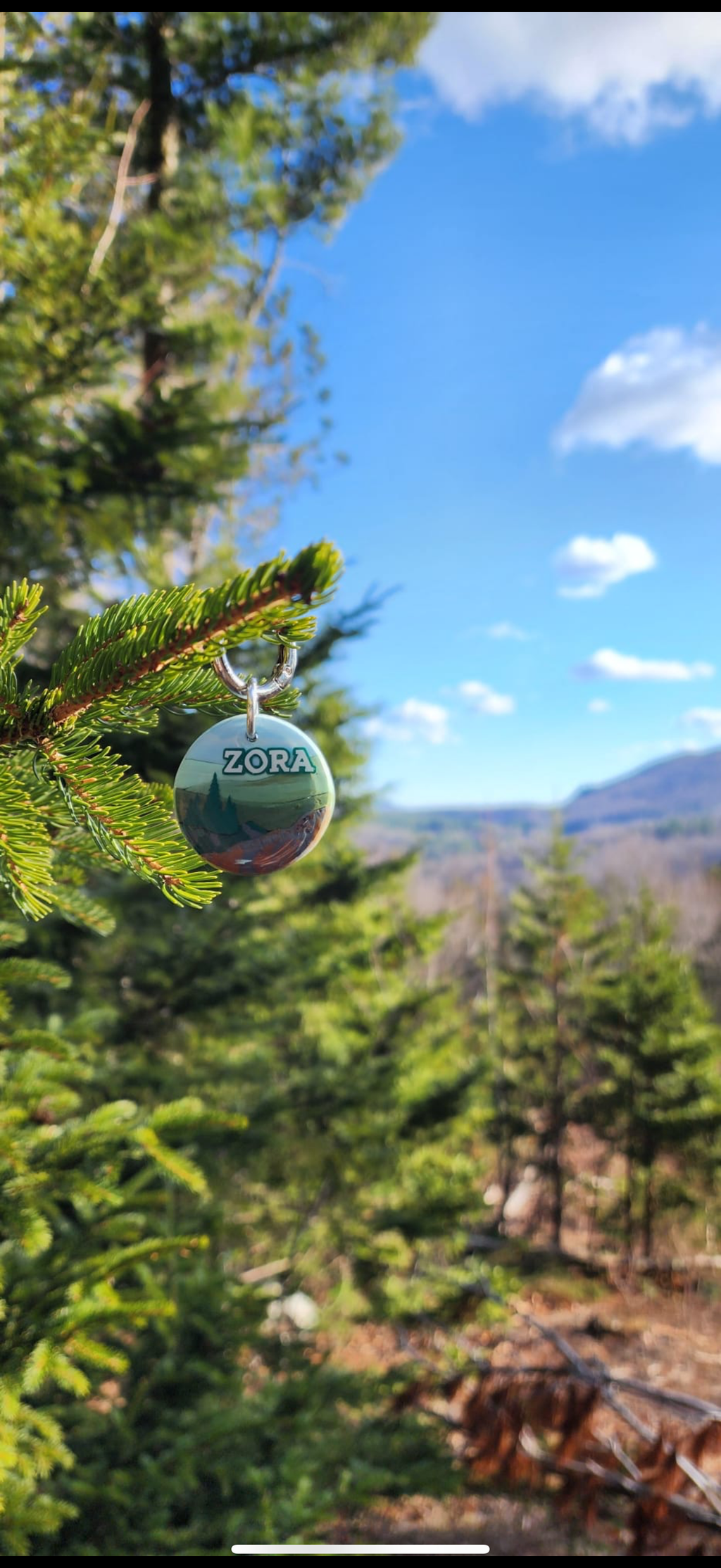 Shenandoah National Park Tag