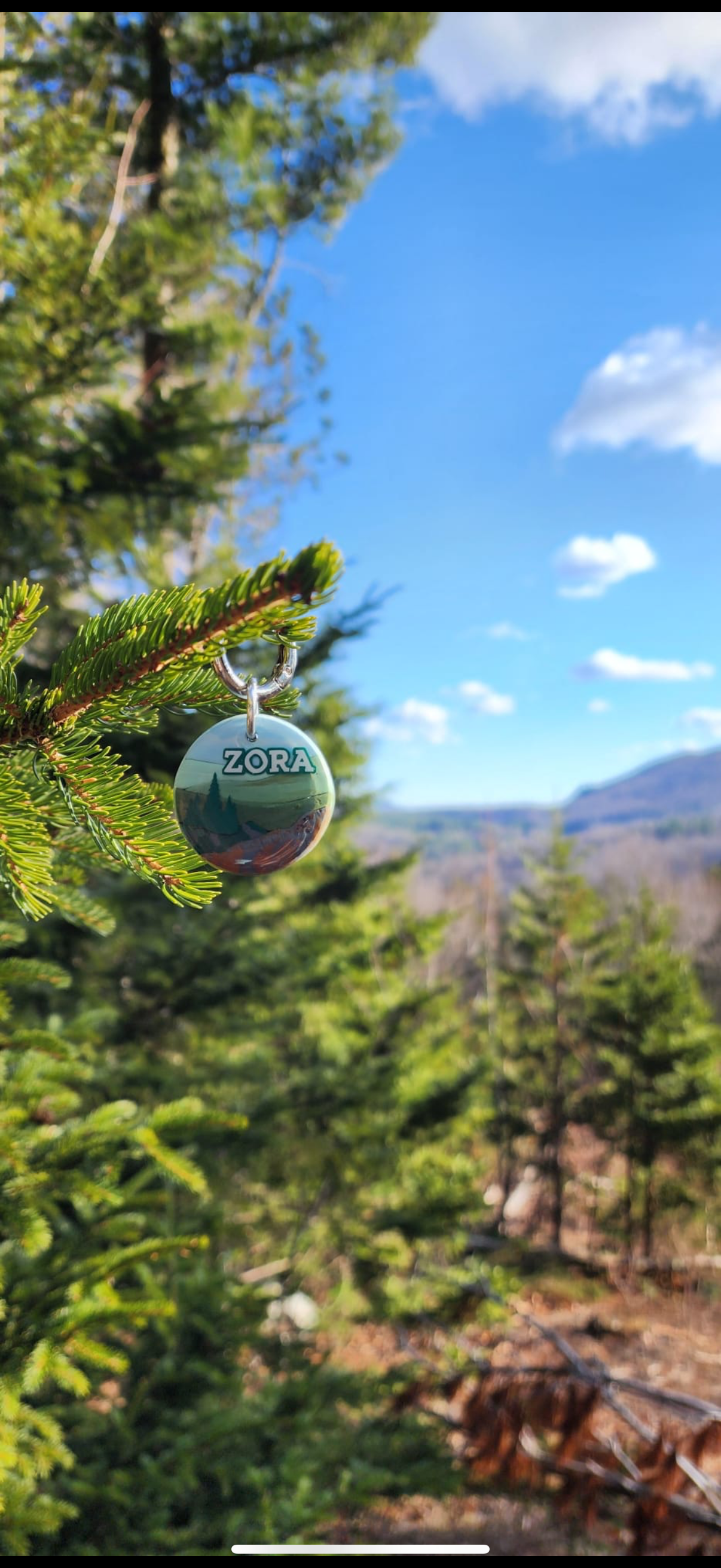 Shenandoah National Park Tag