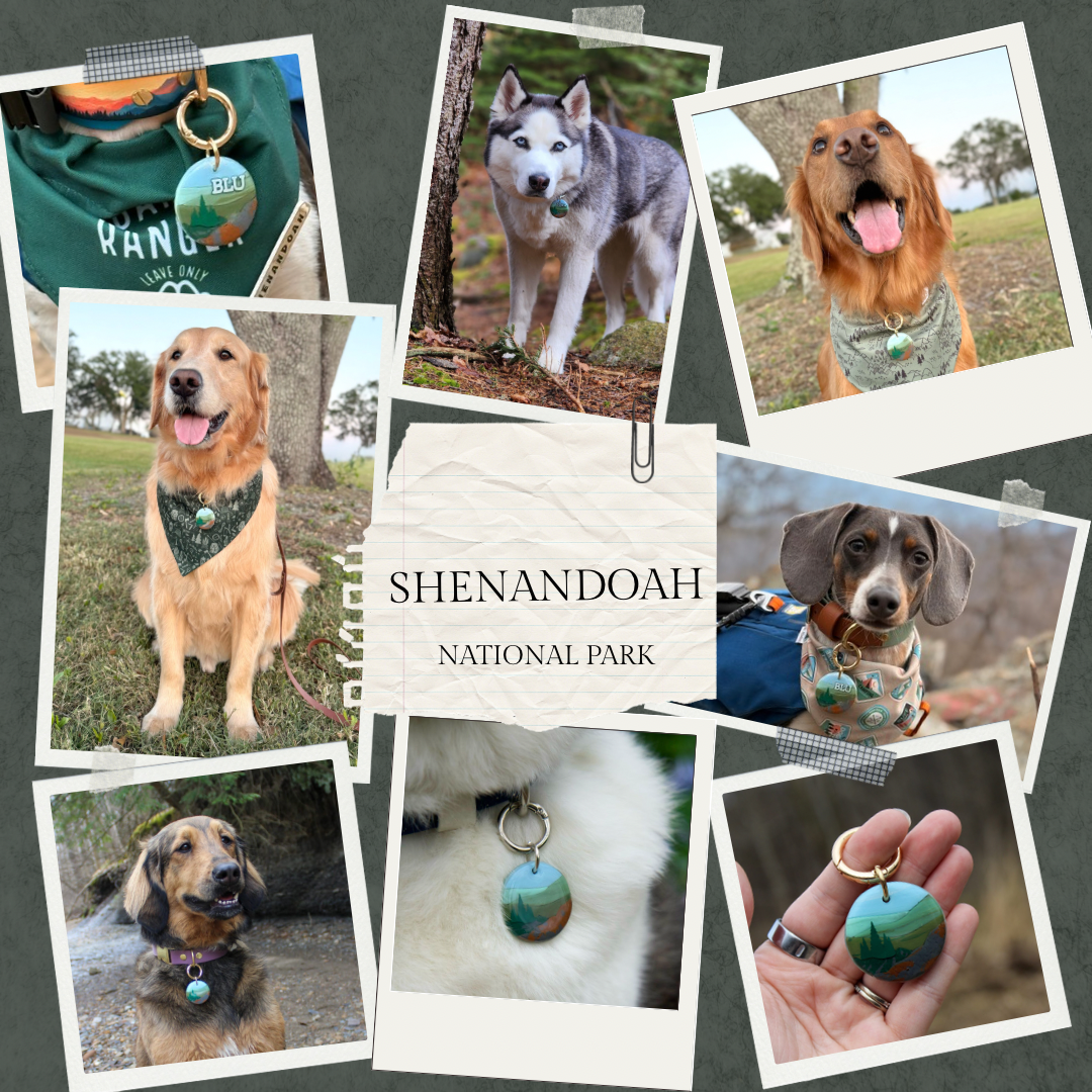 Shenandoah National Park Tag