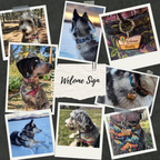 National Park Welcome Sign