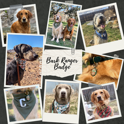 Bark Ranger Badge