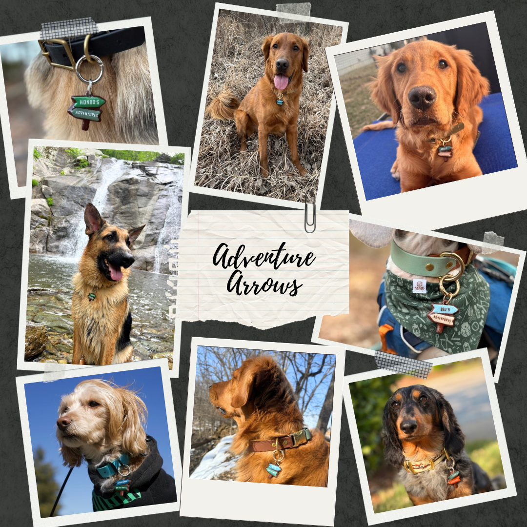 Trail Sign Adventure Arrows