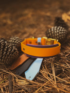 Woodland Watcher Collar Bundle