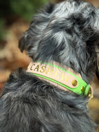 "BIO" Collar Nameplates