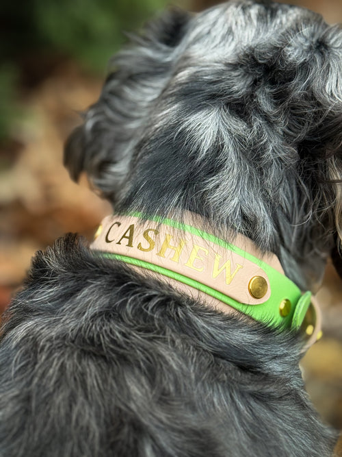 "BIO" Collar Nameplates