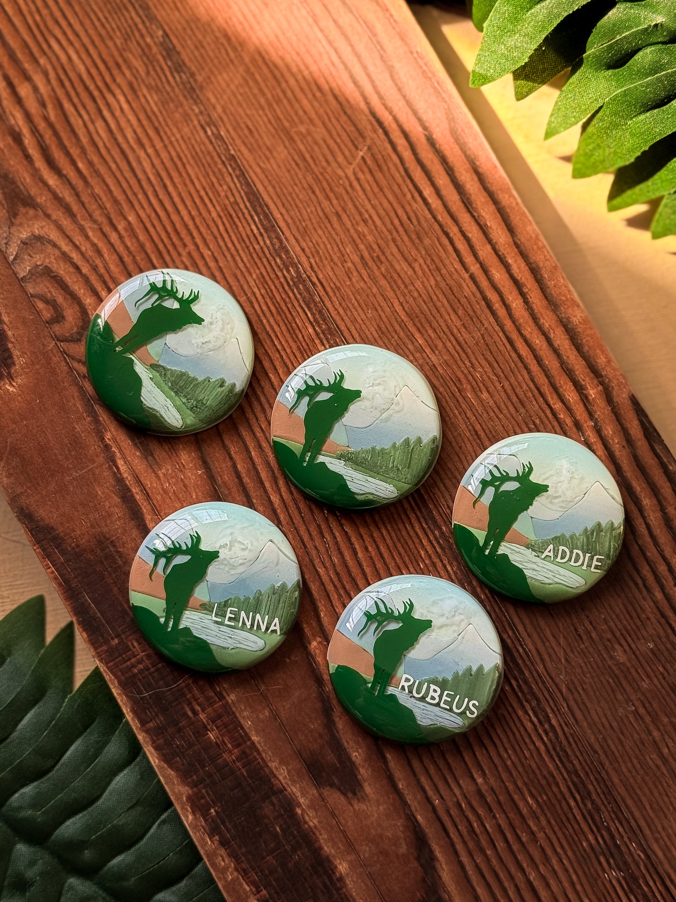 Rocky Mountain National Park