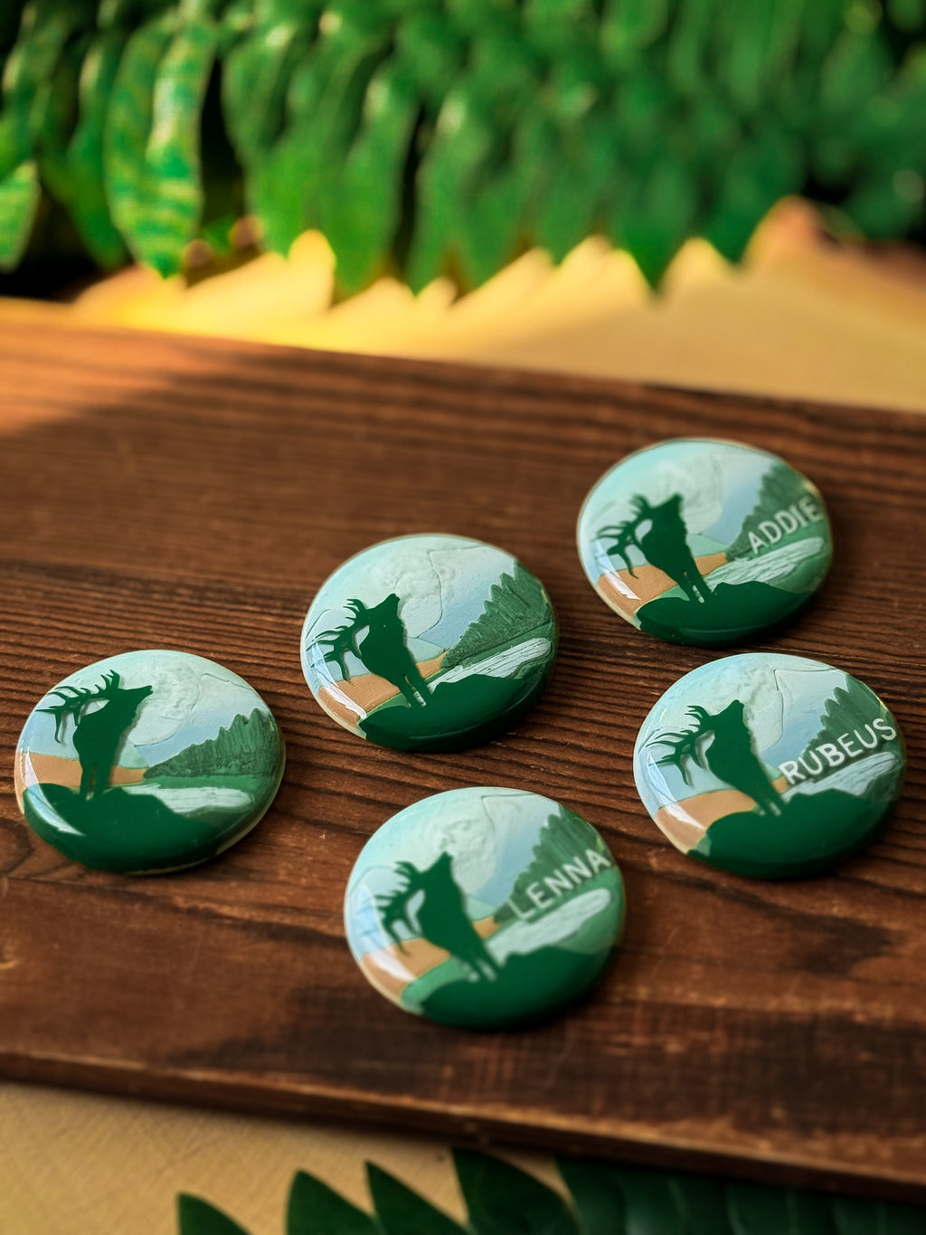 Rocky Mountain National Park