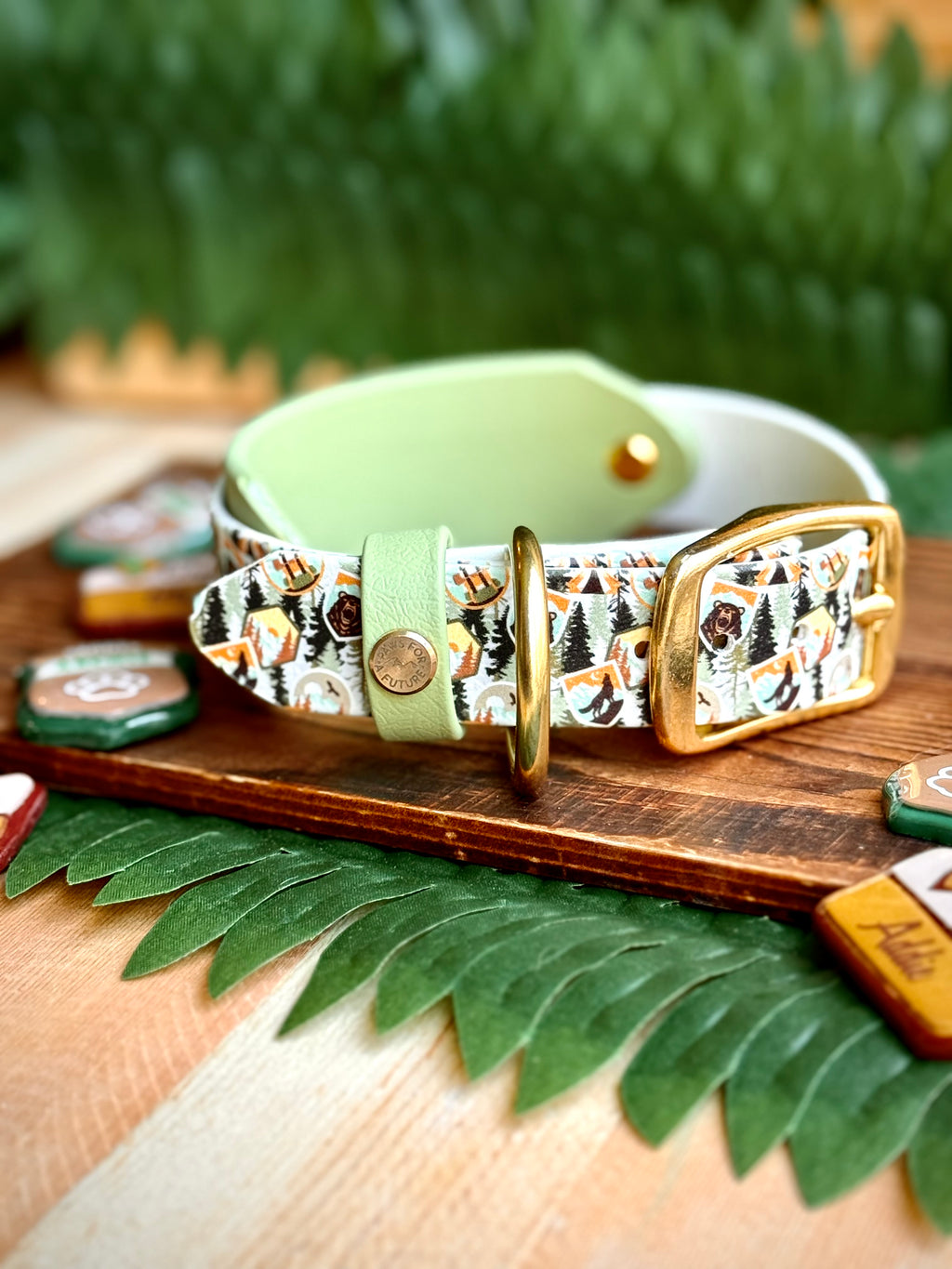 Backcountry Badge Collar