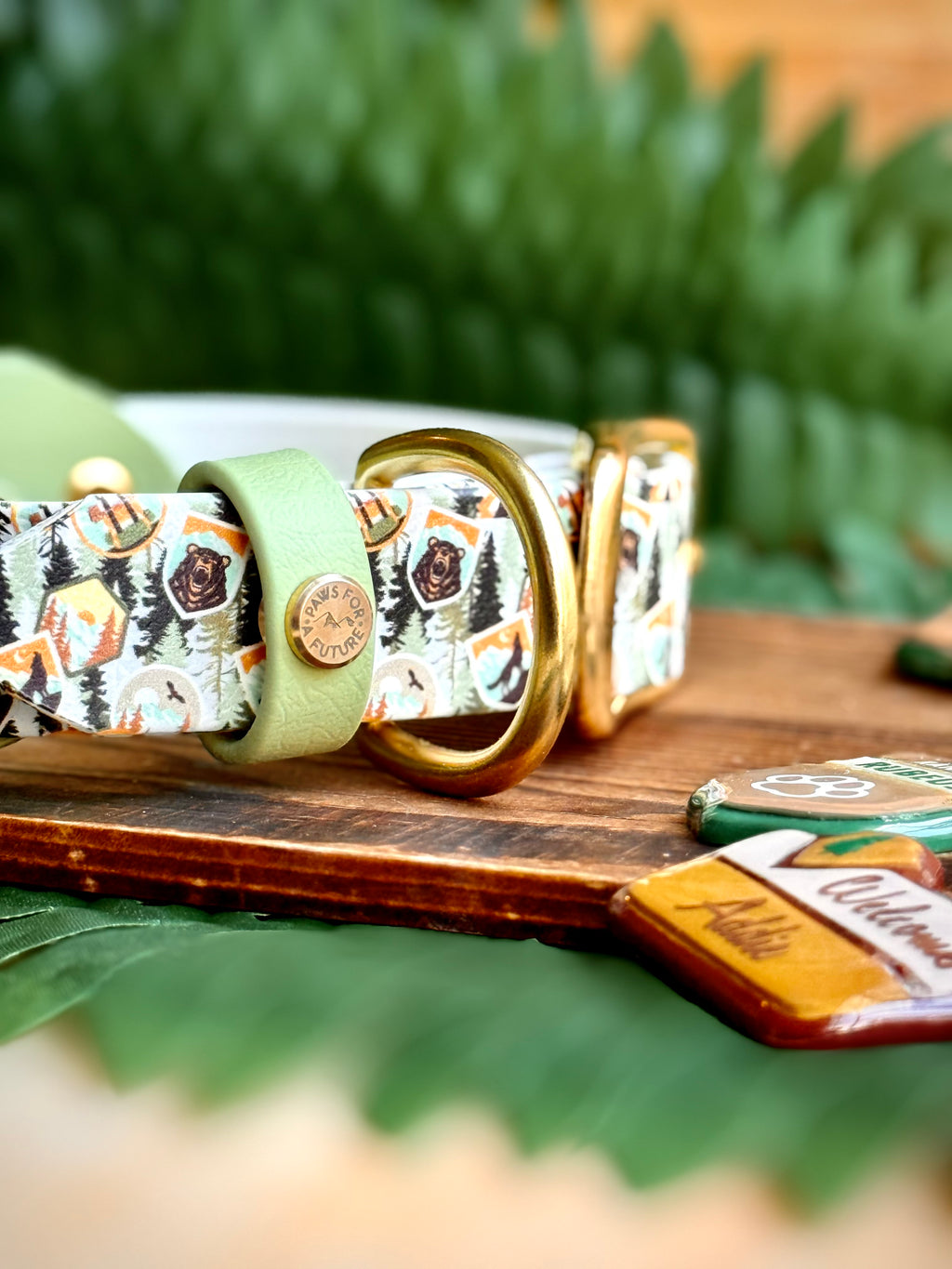 Backcountry Badge Collar