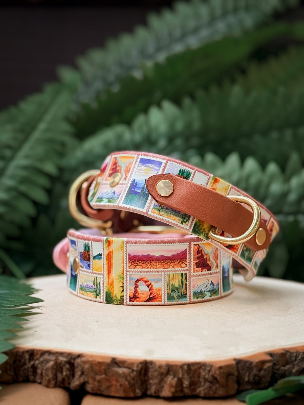 America's Most Iconic National Parks Collar