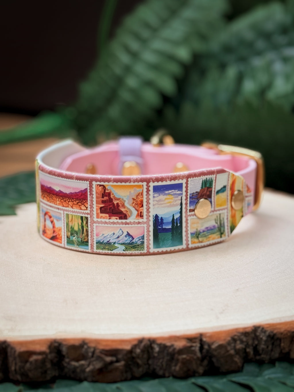 America's Most Iconic National Parks Collar