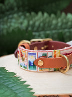 America's Most Iconic National Parks Collar