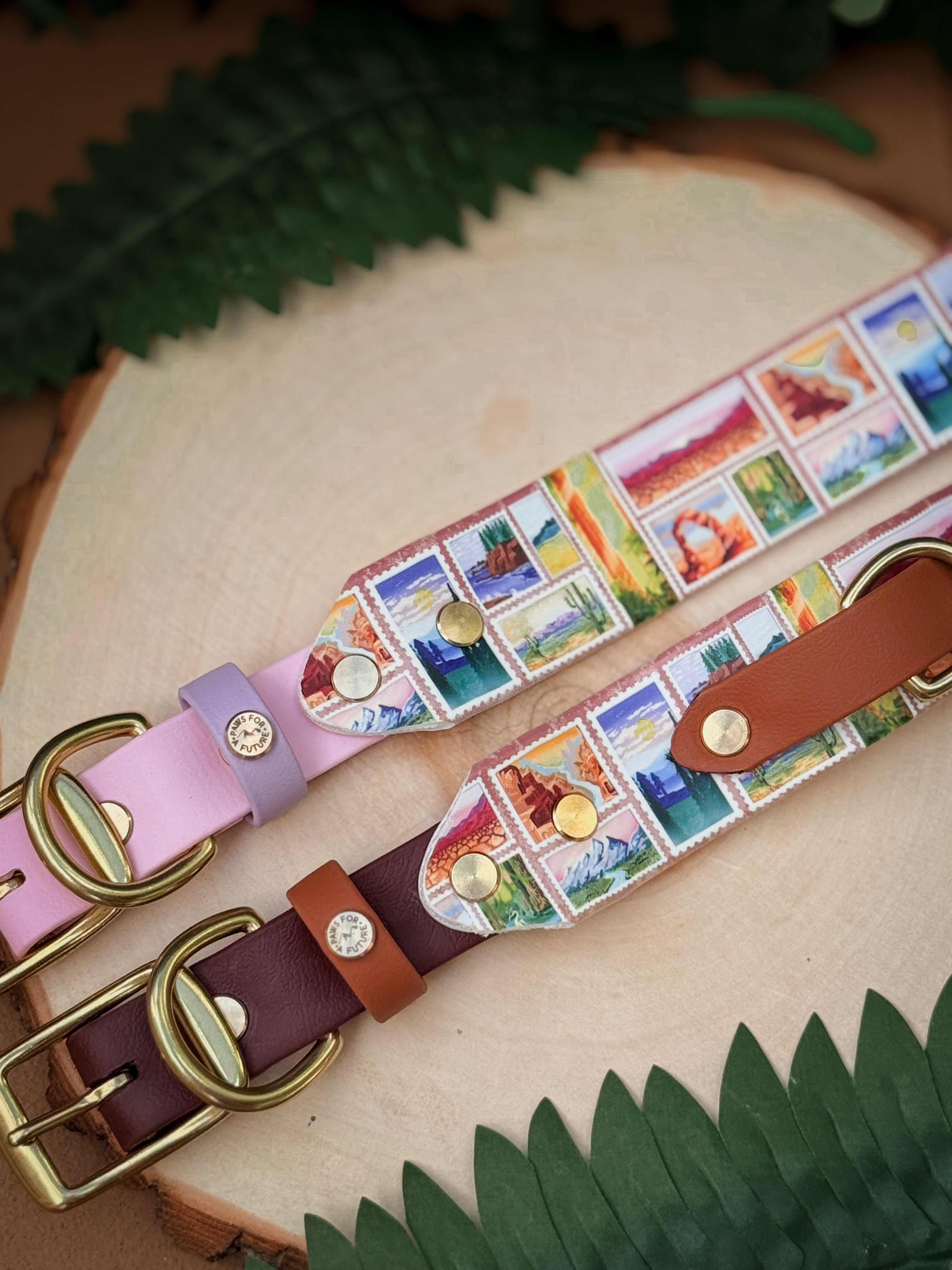 America's Most Iconic National Parks Collar