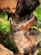 America's Most Iconic National Parks Collar