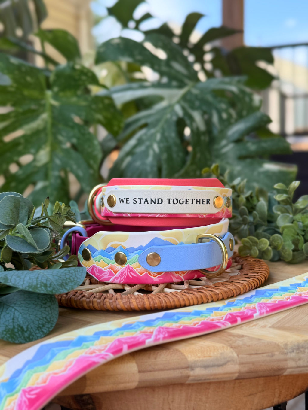 Summit Pride Collar