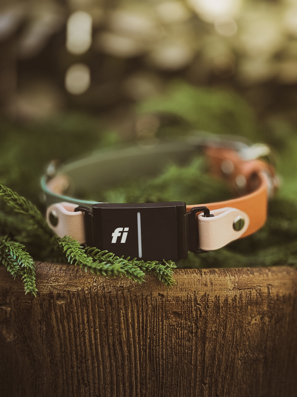 Spring Two-Toned Fi Series 3 BioThane Collar