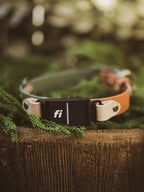 Spring Two-Toned Fi Series 3 BioThane Collar