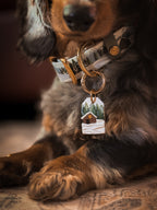 Paws and Pines Collar